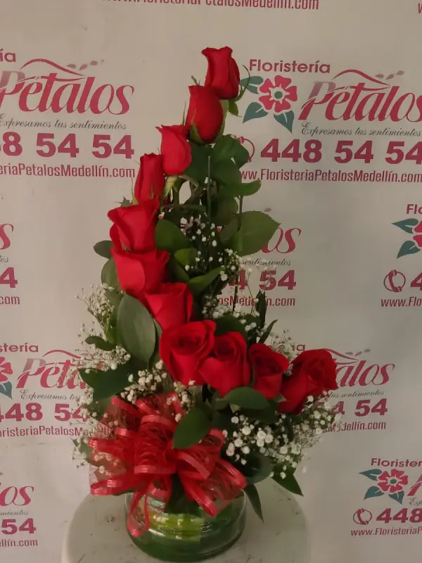 Bello 014