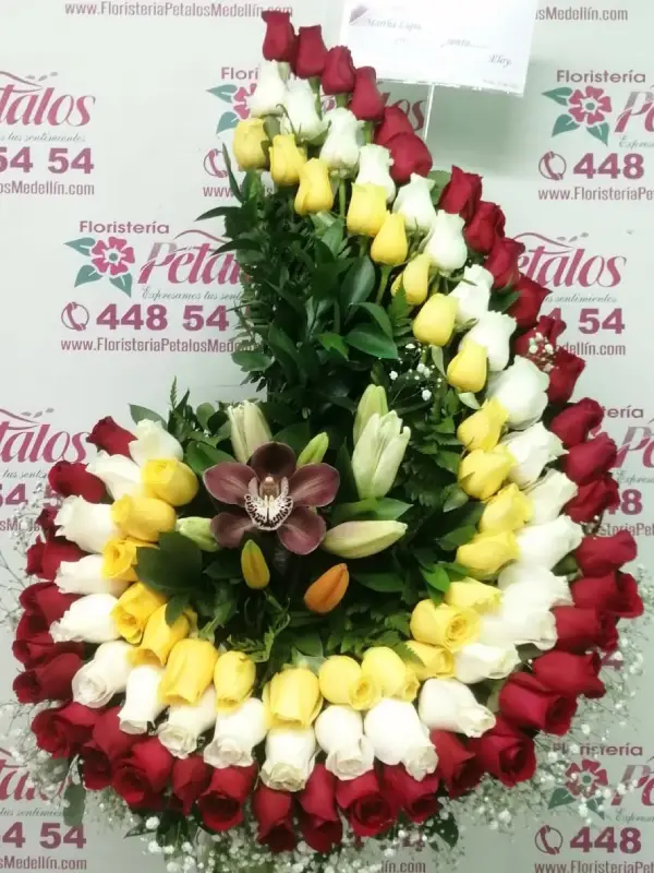 Bello 022